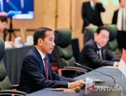 Presiden sampaikan fokus kemitraan ekonomi ASEAN-Jepang