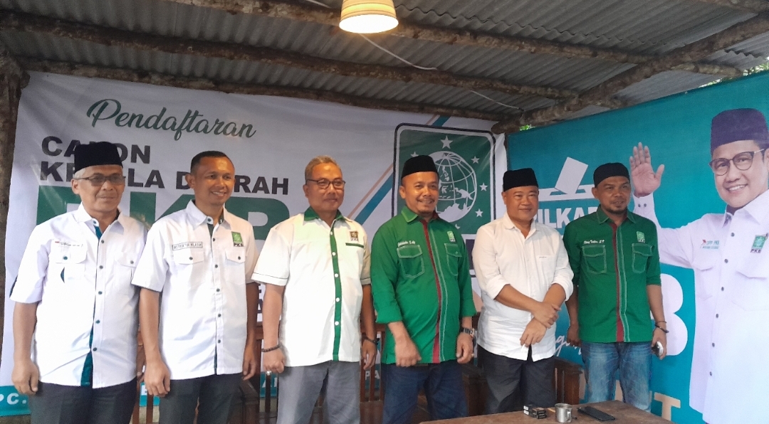 Potensi Gabungan PKB-PDI Perjuangan Menuju Pilkada Pangandaran