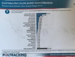 Dadang Solihat Memimpin Poling Sementara Pada Pilkada 2024