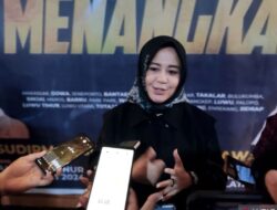 Profil Fatmawati Rusdi, Cawagub Sulawesi Selatan Tahun 2024