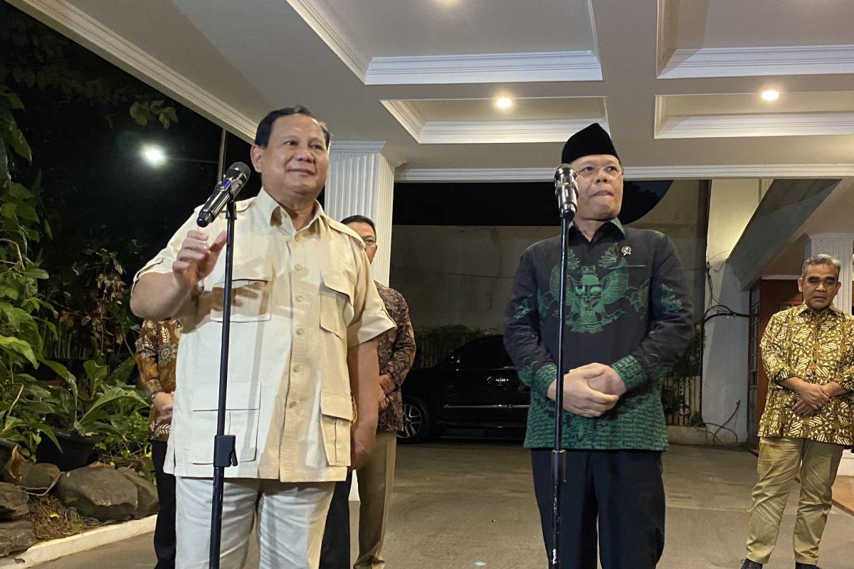 Muhamad Mardiono, Plt Ketum PPP, Berpotensi Masuk Kabinet Prabowo