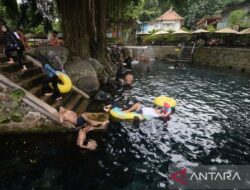 7 Destinasi Eco-Friendly Indonesia: Must-Visit bagi Pecinta Alam