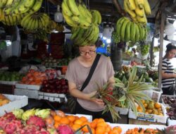 10 Makanan Kunci Untuk Meningkatkan Daya Tahan Tubuh
