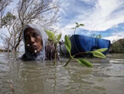 Perjuangan Wanita Demak Menghadapi Dampak Perubahan Iklim