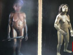 Batu Misterius Mengungkap Keberadaan Manusia Hobbit Indonesia