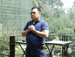 Yayasan Paseban Jaga Alam dengan 17.000 Pohon Baru