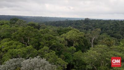 Bumi Krisis: Tanda Bahaya dari Hutan Amazon