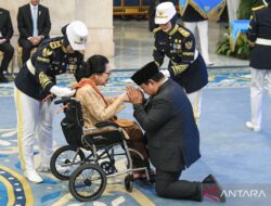 Tanda kehormatan presiden: Jenis dan maknanya