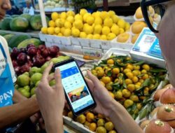 Belanja di Jepang Menggunakan QRIS GoPay, China Ikut Meramaikan