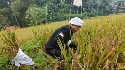 Andy Utama: Pangan Mandiri Harus Jadi Arah Kebijakan Nasional