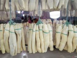 8 Manfaat dan Efek Samping Tape Singkong untuk Kesehatan