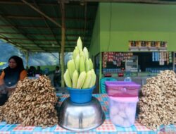 7 Manfaat Air Rebusan Jagung: Kesehatan Tersembunyi